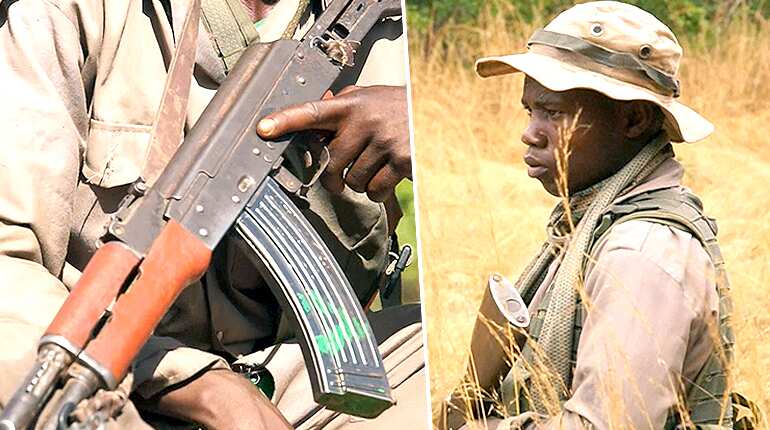 Central Africa's forest rangers in rebels' line of fire