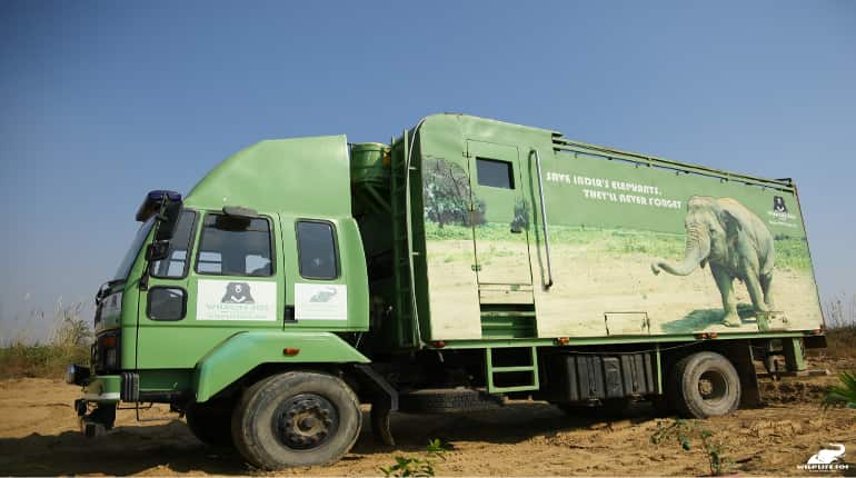 Now, pachyderms will get the care they deserve as India gets its first 'elephant hospital' Now, pachyderms will get the care they deserve as India gets its first 'elephant hospital'