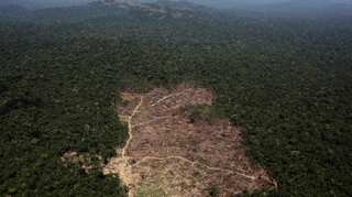 Deforestation in the Brazilian Amazon reaches decade high