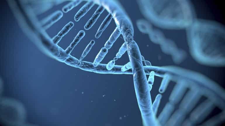 Our DNA came from space, says a scientific study Our DNA came from space, says a scientific study