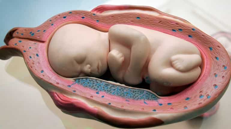 In open letter, scientists in China say baby gene editing 'crazy'