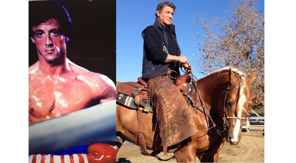 Sylvester Stallone to show 'Rambo 5' teaser at Cannes