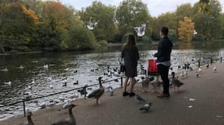 Why daily doses of nature in the city matter for people and the planet