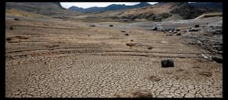 The Paris climate treaty: A snapshot