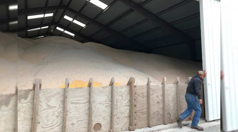 US farmers more cautious than hopeful after China trade deal