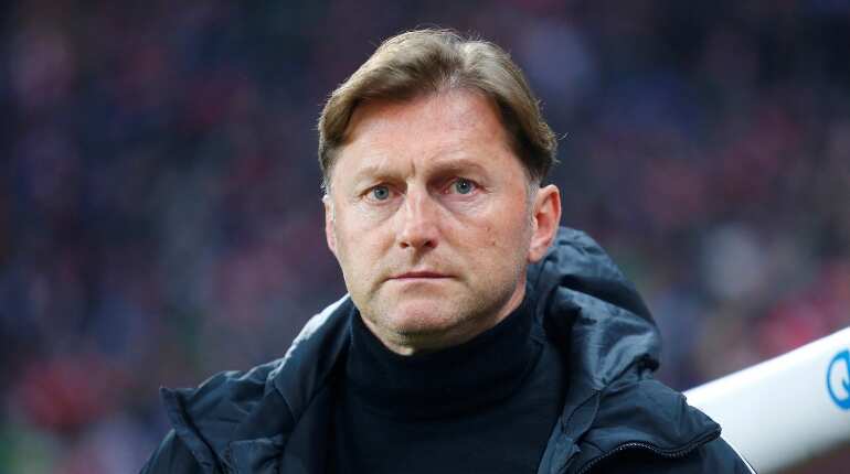 Southampton appoint Ralph Hasenhuttl as new manager Southampton appoint Ralph Hasenhuttl as new manager