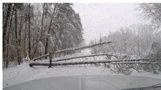 Winter storm kills one, knocks out power to 310,000 in US Southeast