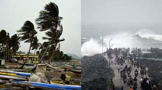 Cyclone Phethai: 5602 farmers affected, 37 houses damaged