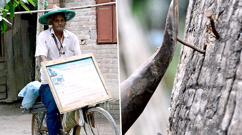 The man on a mission to save Bangladesh's trees