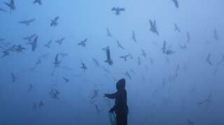Delhi's air quality 'moderate' due to high surface winds