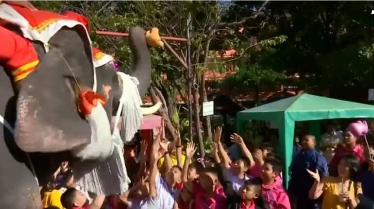 Santas trade their reindeer for elephants