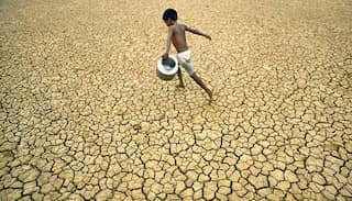 High Court asks Maharashtra government about steps taken to tackle drought