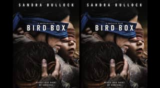 Netflix issues warning against #BirdBoxChallenge as people injure themselves worldwide