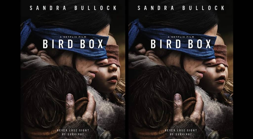 Netflix to remove controversial real-life accident footage from 'Bird Box'
