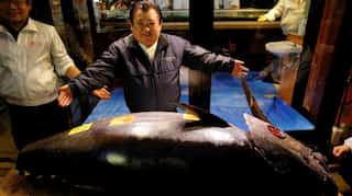 Tuna sells for record $3 million in auction at Tokyo's new fish market