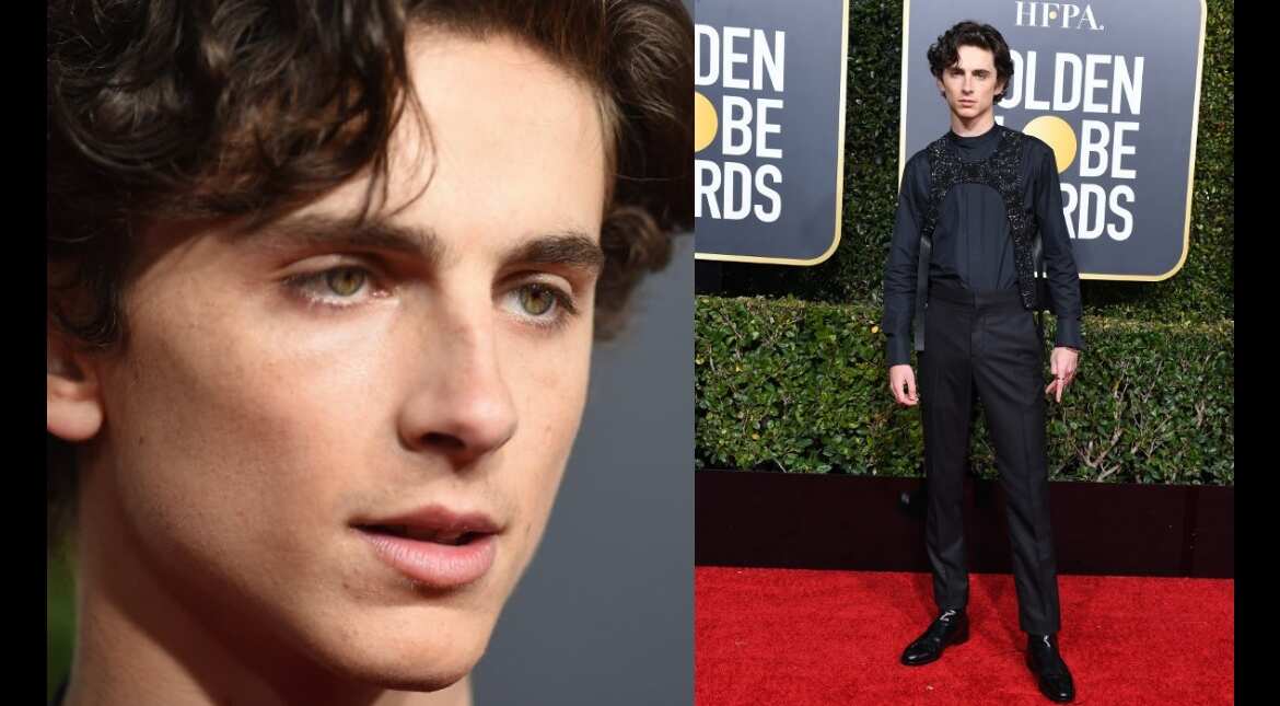 Timothée Chalamet