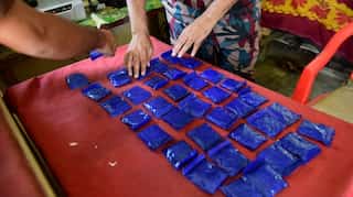 China must act to stem Myanmar's meth trade: Report