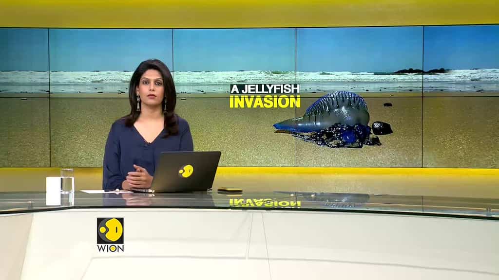 Watch: WION Gravitas, 8th January, 2019