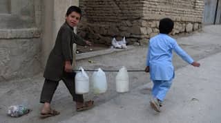 Resist, forgive, submit? Afghan youth on hopes for peace