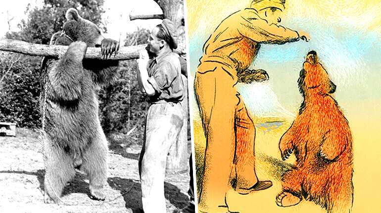 Animated film to put spotlight on bear who served in WWII
