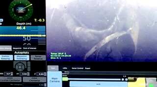 Video: Navy divers detect body of Meghalaya miner as search operations continue