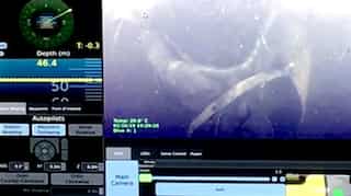 Video: Navy divers detect body of Meghalaya miner as search operations continue