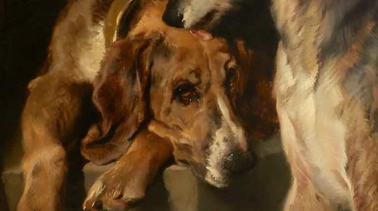 The American Kennel Club is set to re-open the AKC Museum of the Dog