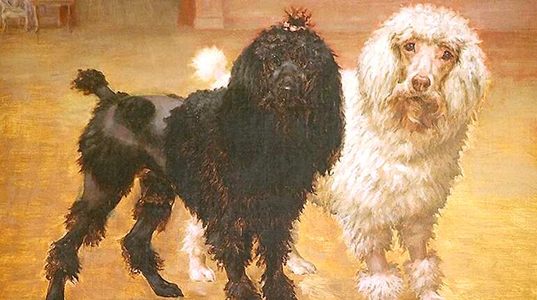 The American Kennel Club is set to re-open the AKC Museum of the Dog