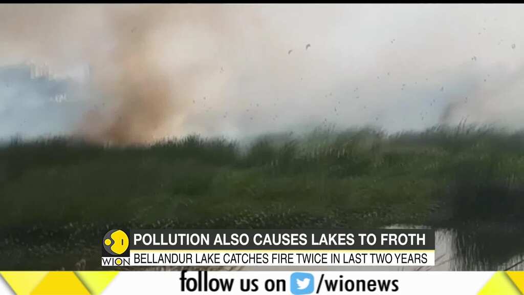 Huge fire erupts in Bengaluru's Varthur lake