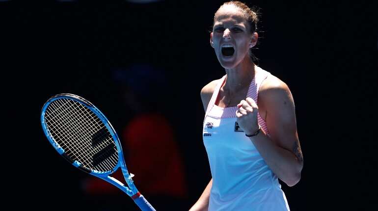 Pliskova reaches final
