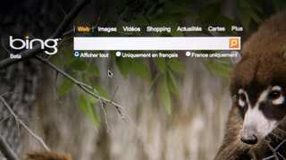 Microsoft's Bing search engine goes offline in China