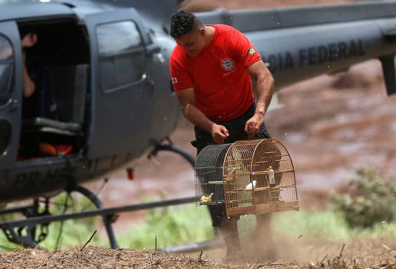 Brazil resumes search for missing after dam collapse, ends evacuation