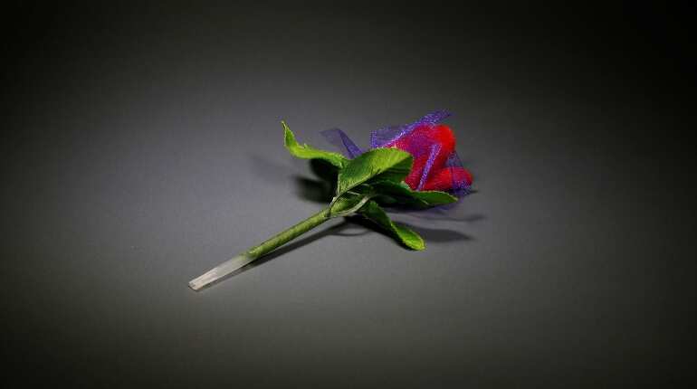'Europe's bloodiest war'