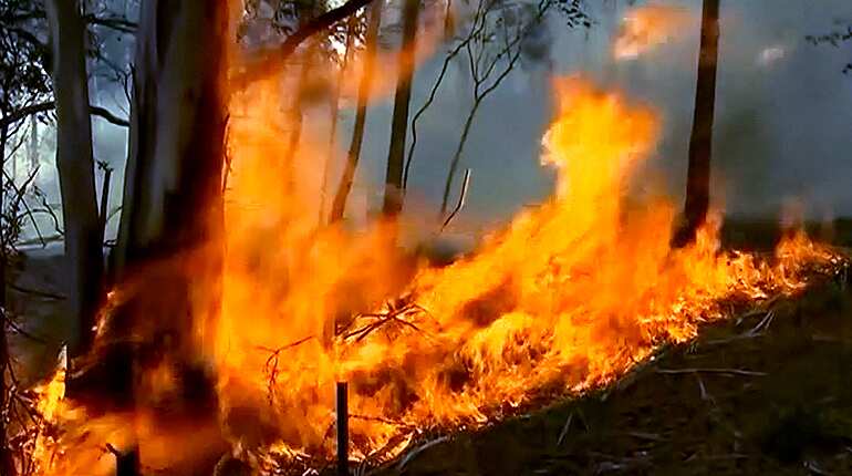 Australian bushfires blaze on with conditions set to worsen