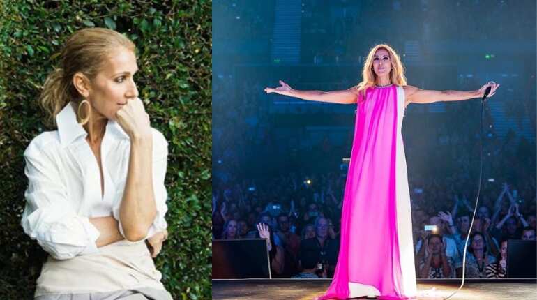 Celine Dion biopic titled 'The Power Of Love' is in works