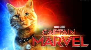 Not Carol Danver, her cat Goose steals the show in advance screenings for 'Captain Marvel'