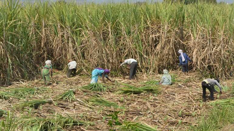 In case of agriculture, this government’s vision is farmers’ total welfare