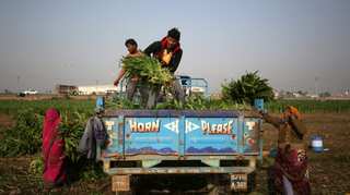 Canada urges India to pursue consistent farm trade policies