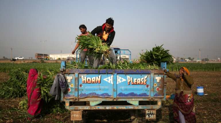 Canada urges India to pursue consistent farm trade policies