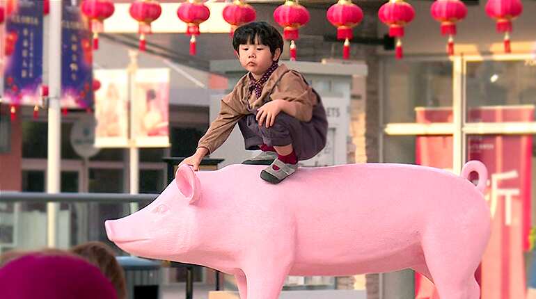 Taiwan and Hong Kong gear up for Year of the Pig
