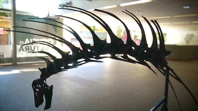 Discovery of spiky-necked dinosaur divulged