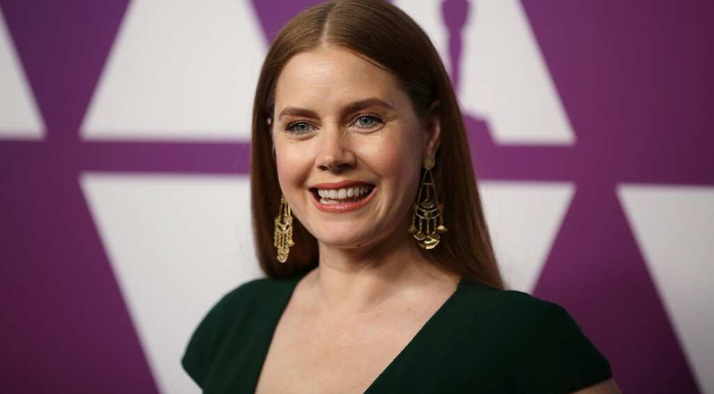 Amy Adams Joins the movie adaptation of Broadway's Musical ' Dear Evan Hansen'