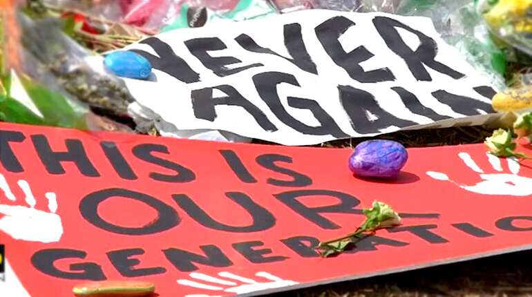 One year on, the legacy of the Parkland shooting