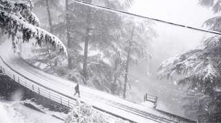 Advisory issued as Rohtang Pass receives six inches of snowfall