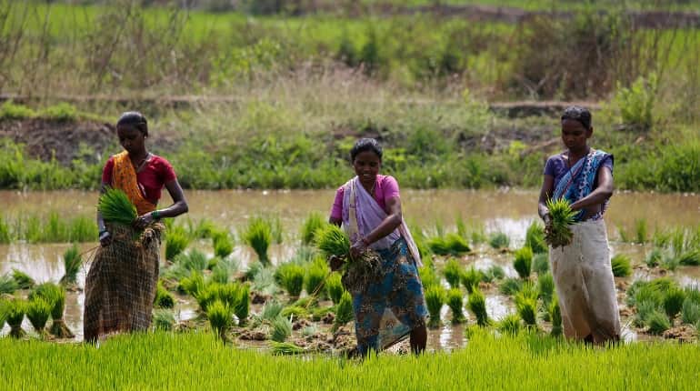 China, India have helped in greening of Earth: NASA report