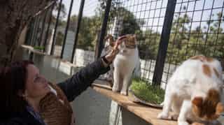 Pets in America now get human treatment