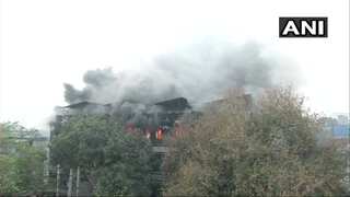 Fire at commercial building in Delhi's Naraina; no casualties reported 