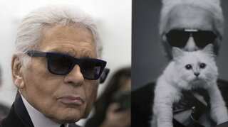 Could Karl Lagerfeld's cat Choupette inherit his millions?