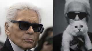 Could Karl Lagerfeld's cat Choupette inherit his millions?