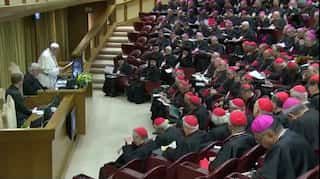 Victims testify at child sex abuse conference, Pope promises to fight ‘enemy within’